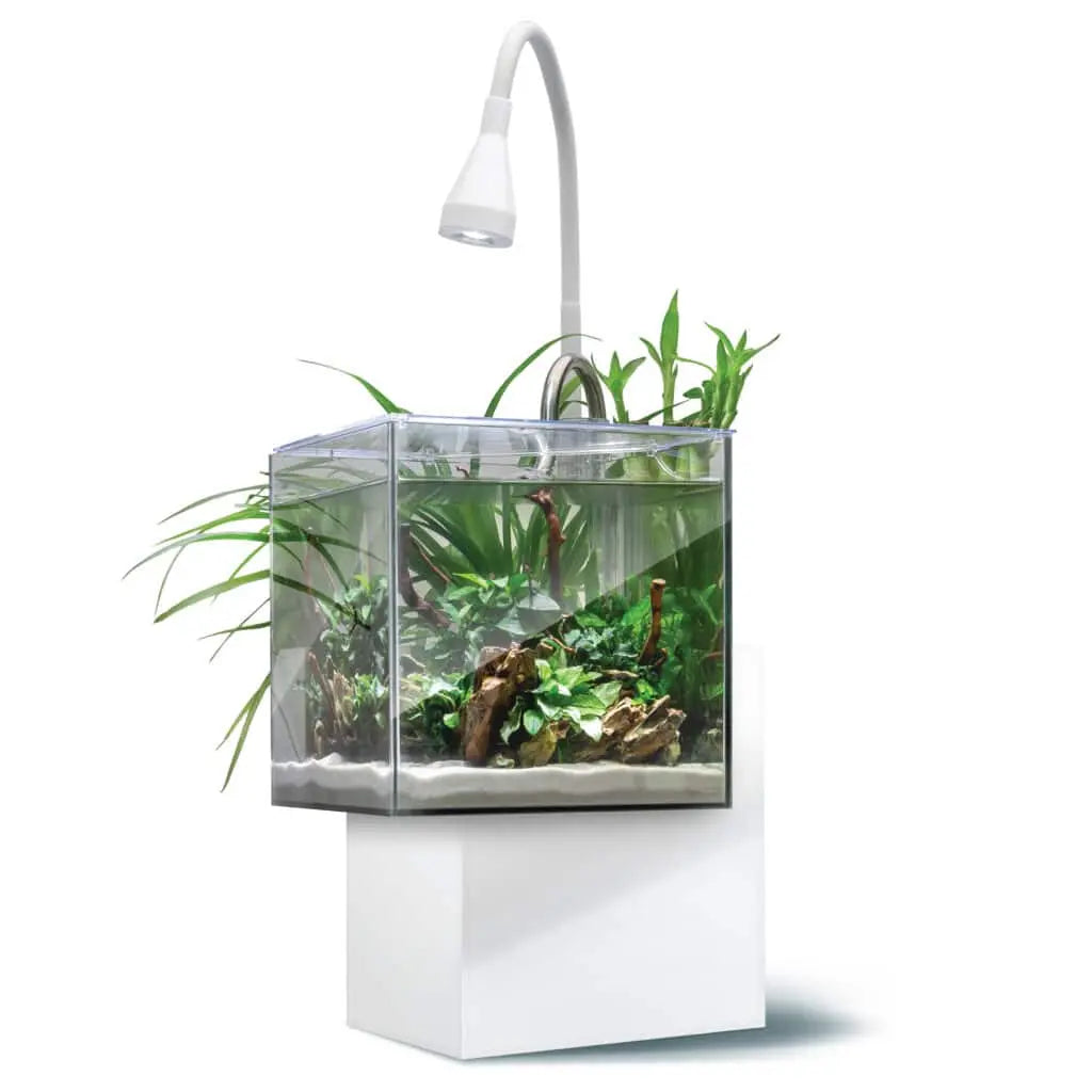Fluval Kühl Microscaping Aquarium Kit 2.1 gallon white nano aquaponic aquarium with LED light and planting areas for shrimp, snails, and small-space planted displays at Tropical Treasures Wyo.