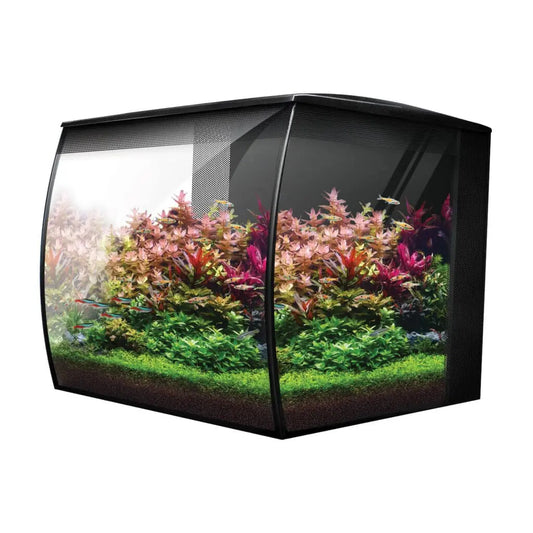 Fluval Flex 2.0 9-gallon aquarium kit with curved glass, integrated filtration, and LED lighting in a modern freshwater setup