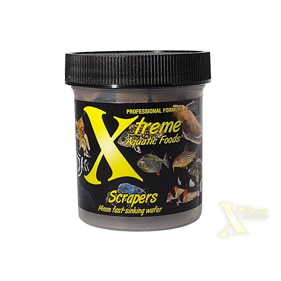 Xtreme Scrapers – 2.4 oz container of sinking wafers for plecos, catfish, loaches, shrimp, and snails.