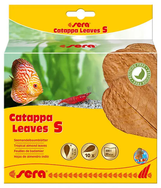 Sera Catappa Leaves S 14 cm – 10 Pack small Indian almond leaves for aquarium use