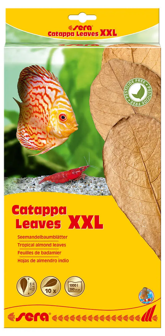 Sera Catappa Leaves XXL 32 cm – 10 Pack natural Indian almond leaves for aquarium use