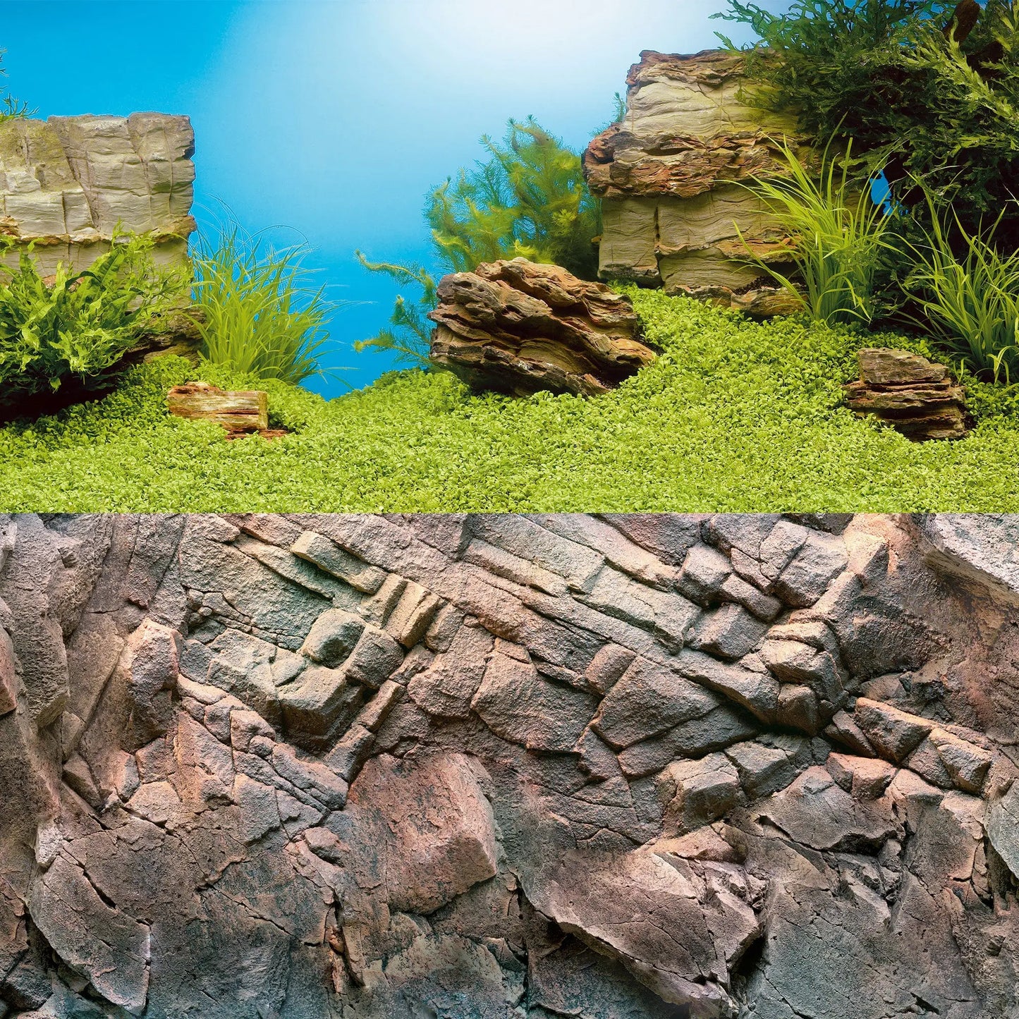 Juwel Poster 1 L large tropical aquarium background with lush aquatic plants and natural scenery