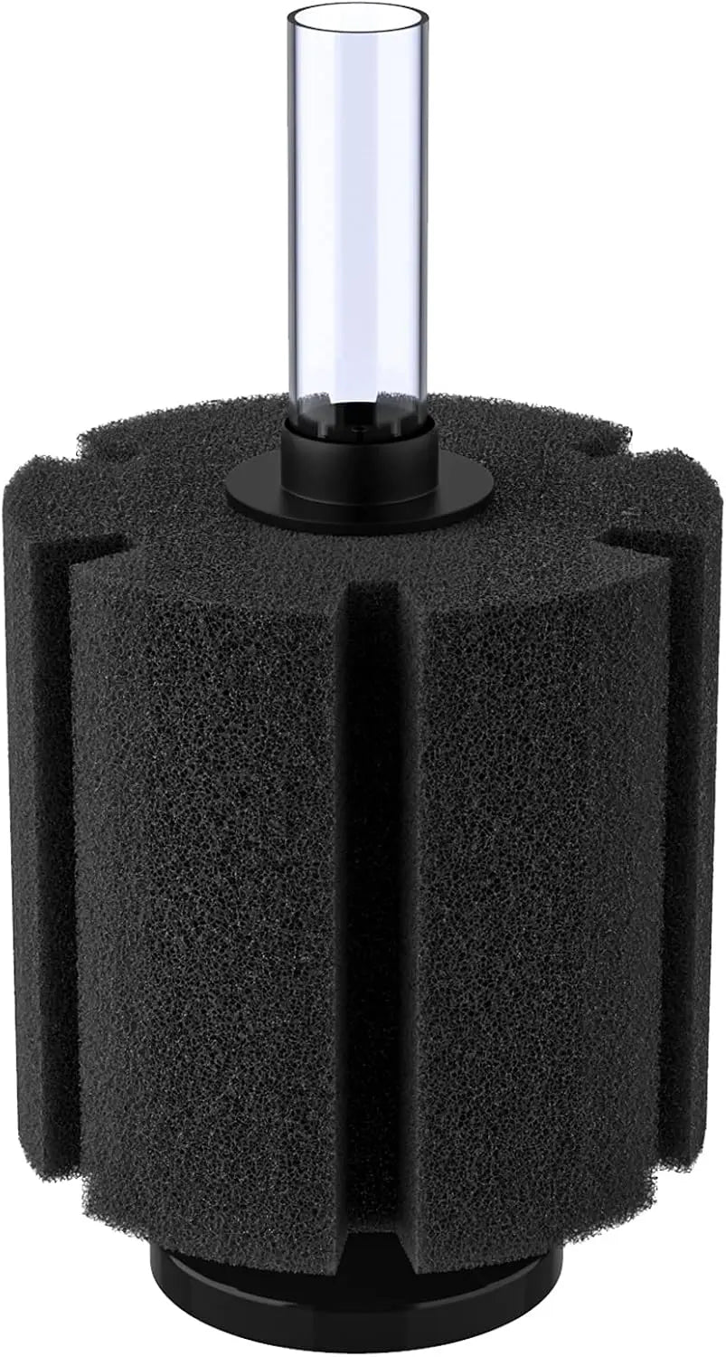 2811 aquarium sponge filter providing gentle air-driven biological filtration in a small freshwater aquarium