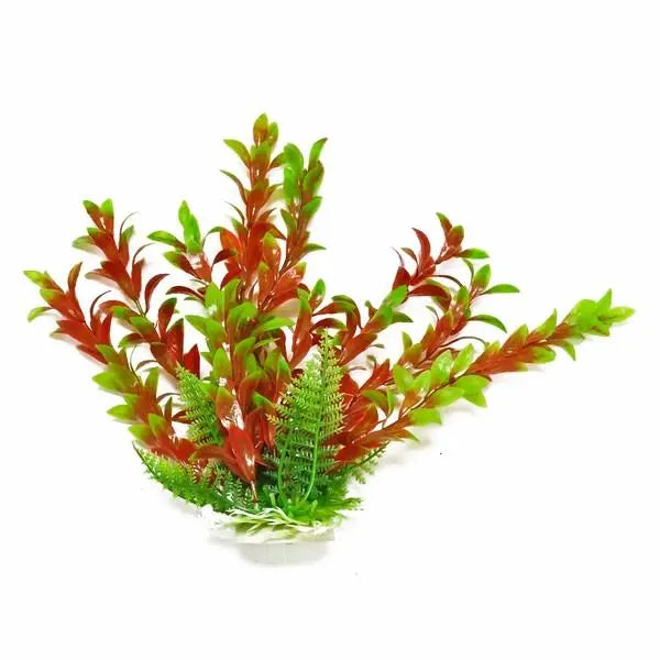 AQUATOP VERA-LIFE Hygro-like 12 inch aquarium plant green and red