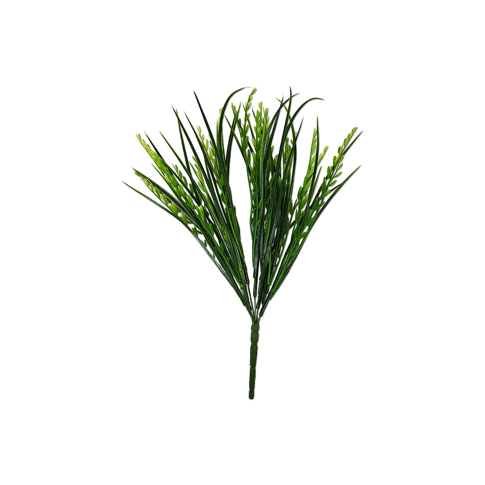 15" Mountain Grass / Iva Axillaris Bush