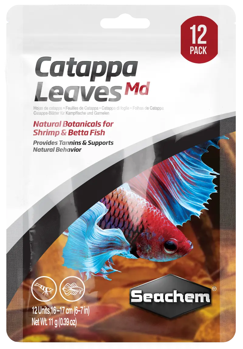 Catappa leaves medium aquarium botanical