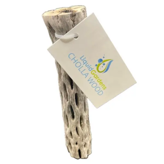 Liquid Gardens Cholla Wood – natural aquarium-safe wood with porous structure, ideal for shrimp tanks, fry hiding, and aquascaping décor.