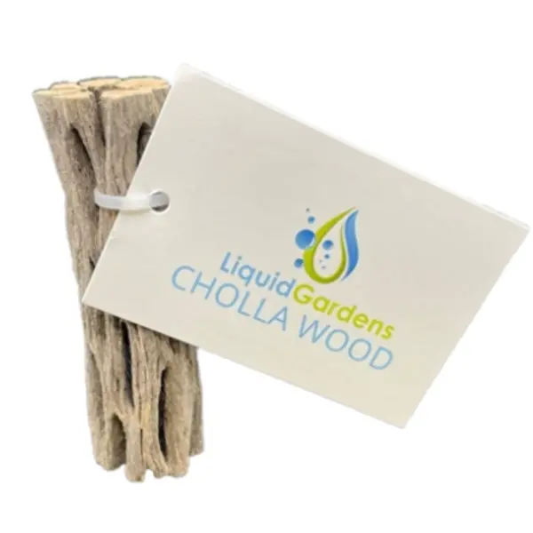 Liquid Gardens Cholla Wood – natural aquarium-safe wood with porous structure, ideal for shrimp tanks, fry hiding, and aquascaping décor.
