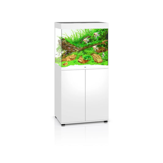 juwel lido 200 aquarium 53 gallon fish tank