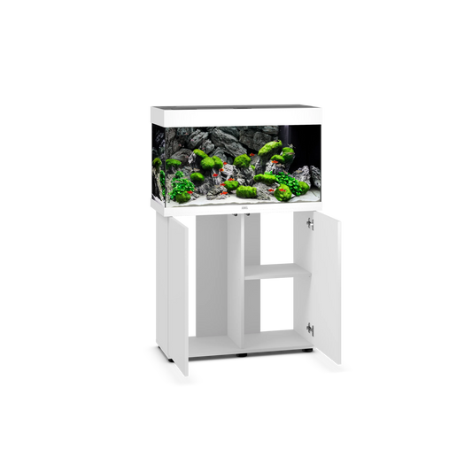 juwel rio 125 33 gallon fish tank