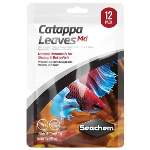 Catappa Leaves Medium 12 Pack Indian Almond Leaves for betta tanks, shrimp aquariums, breeding setups, and blackwater freshwater aquariums.