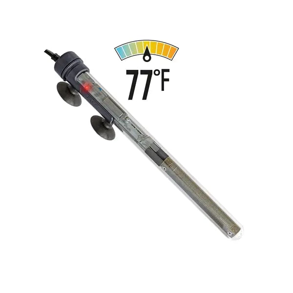 SICCE Scuba Preset 50W submersible aquarium heater with black control cap and suction cups, preset to 77°F