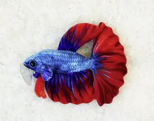 GreenPleco Betta BlueRed Plush – soft red and blue Betta fish plush toy for aquarium enthusiasts