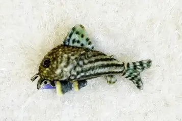 GreenPleco Corydoras Sterbai Plush – soft brown and white spotted cory catfish plush toy for aquarium enthusiasts
