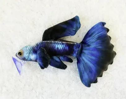 GreenPleco Guppy Electric Plush – soft blue and yellow guppy fish plush toy for aquarium fans and collectors