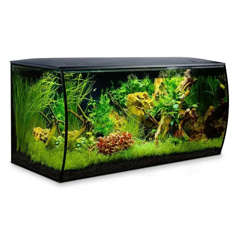 Fluval Flex 32.5 gallon black freshwater aquarium kit with green plants and aquascape