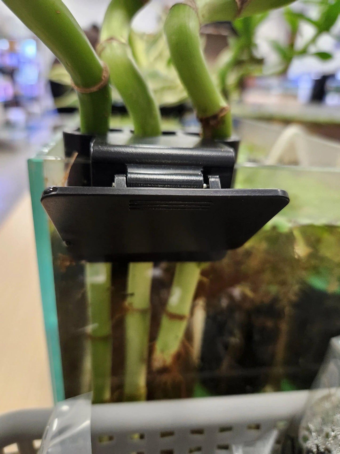 Bamboo 3 Clip Holder – Aquarium Bamboo or Plant Stand