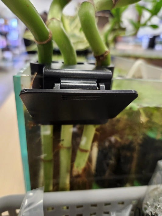 Acrylic Bamboo 3 Clip Holder for aquariums – a clear stand used to secure bamboo or aquatic plants upright in a fish tank.