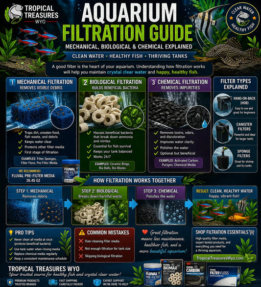 aquarium filtration diagram showing mechanical biological and chemical filtration stages