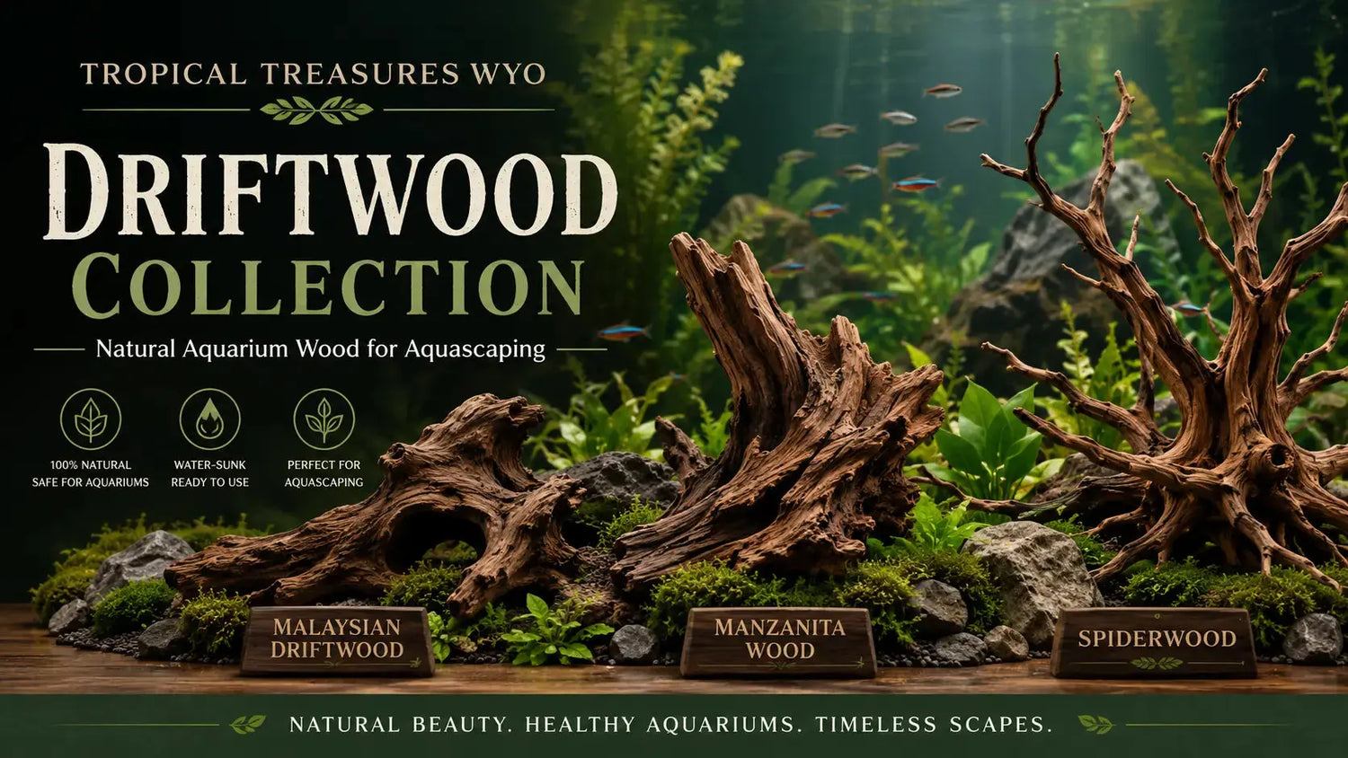 Driftwood and aquarium wood for freshwater aquariums including manzanita spiderwood and natural branch wood for planted and aquascaped tanks