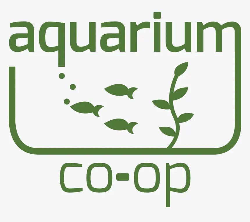 quarium Co-Op brand aquarium supplies – selection of sponge filters, gang valves, plant care tools, and maintenance accessories displayed on a wooden shelf at Tropical Treasures Wyo.