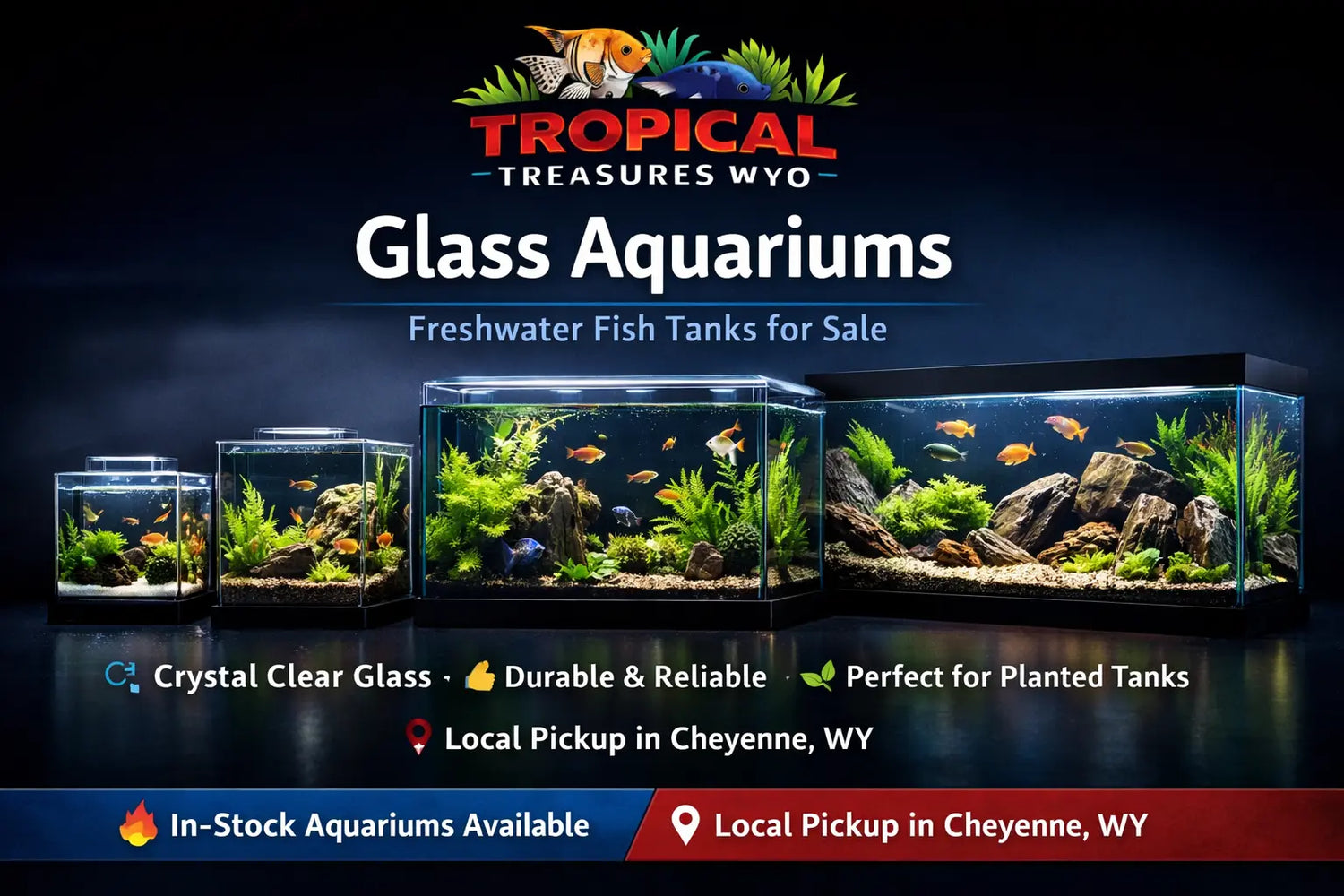 glass aquariums freshwater fish tanks 10 gallon 20 gallon 55 gallon aquarium setup