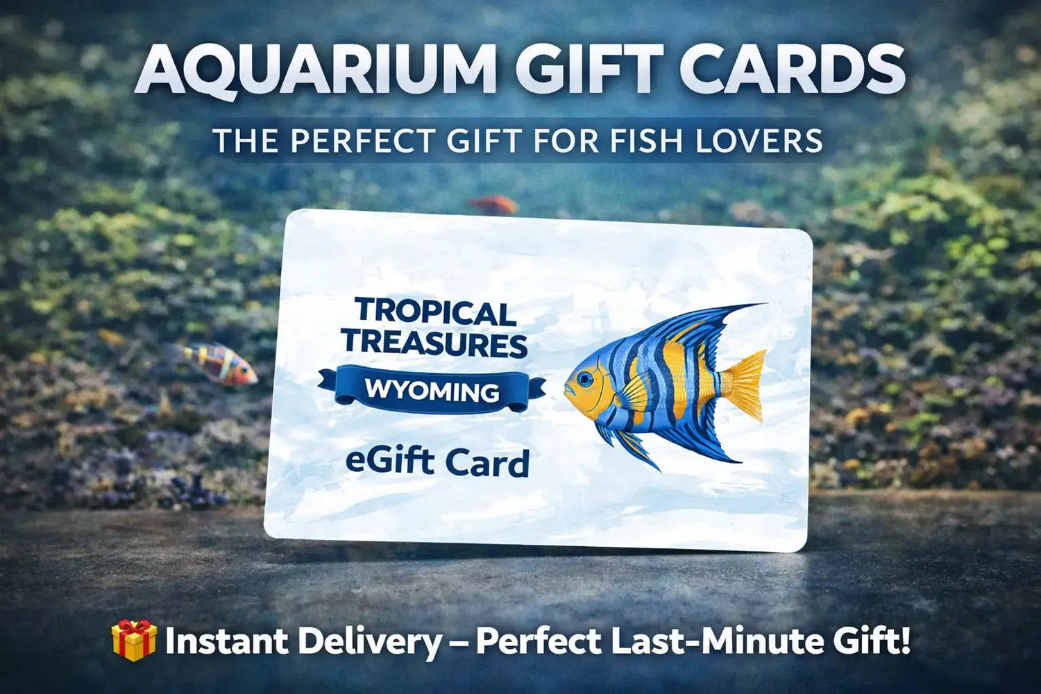 aquarium gift cards fish store digital gift card tropical treasures wyo