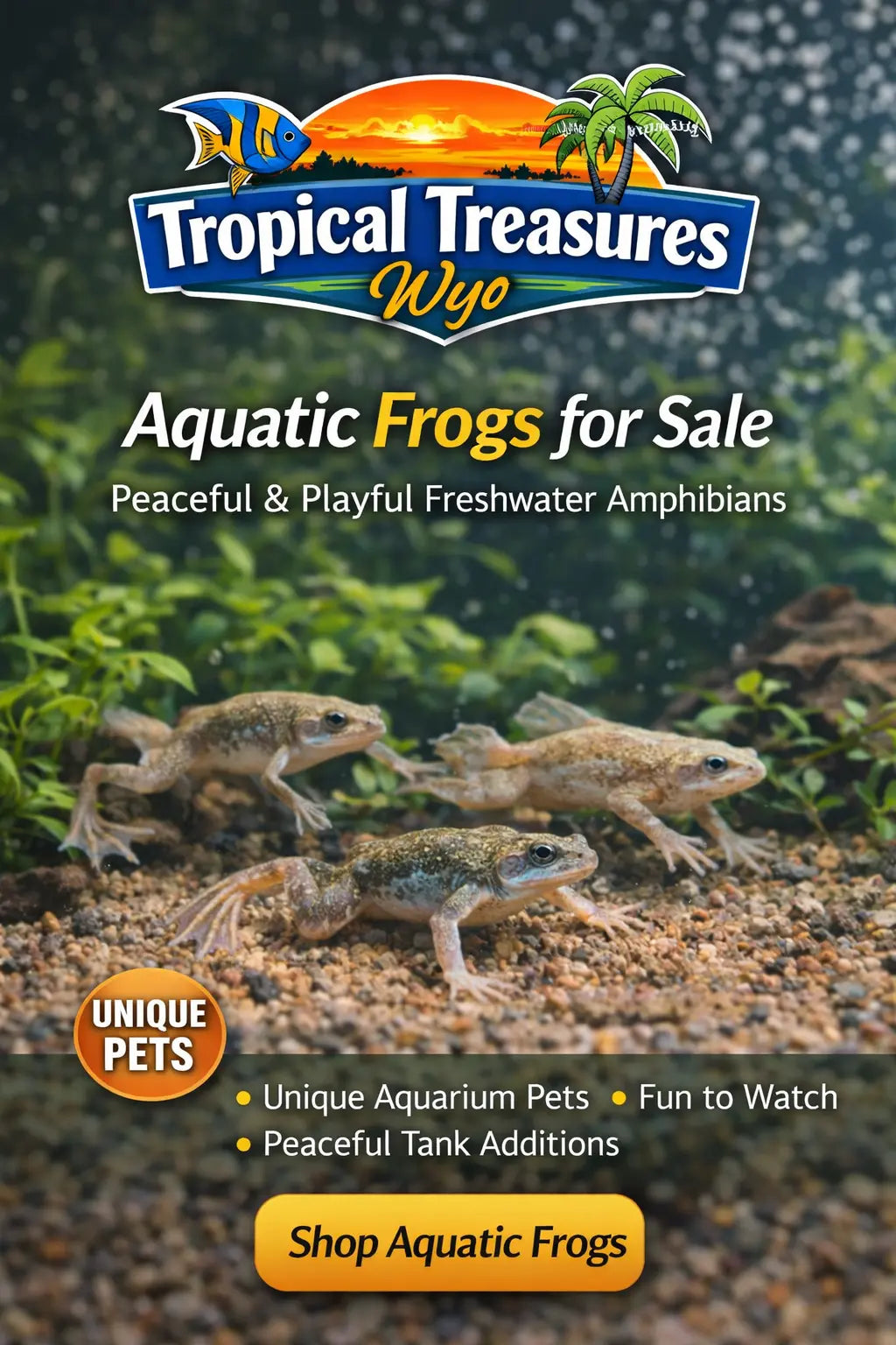 Aquatic frogs collection banner featuring peaceful freshwater amphibians in a planted aquarium with Tropical Treasures Wyo branding