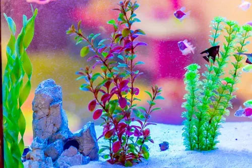 Realistic plastic aquarium plants in green and red shades, anchored with weighted bases, providing decoration and hiding spots in a freshwater aquarium.