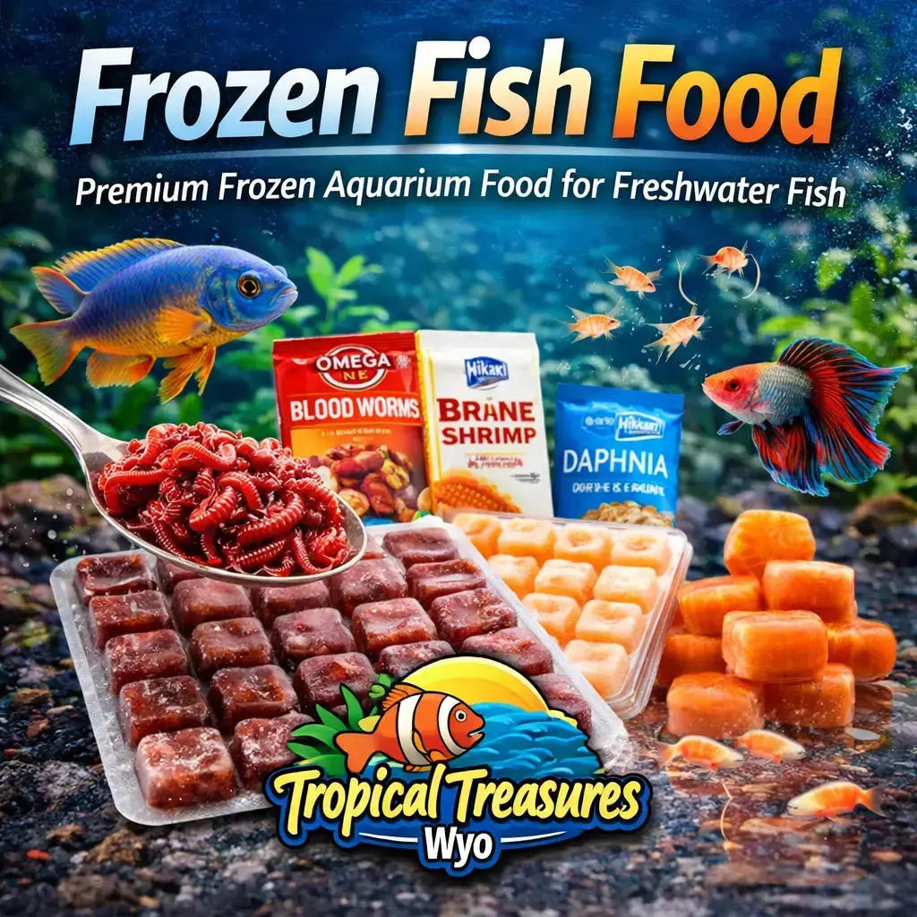 frozen fish food bloodworms brine shrimp freshwater aquarium fish feeding in Cheyenne Wyoming
