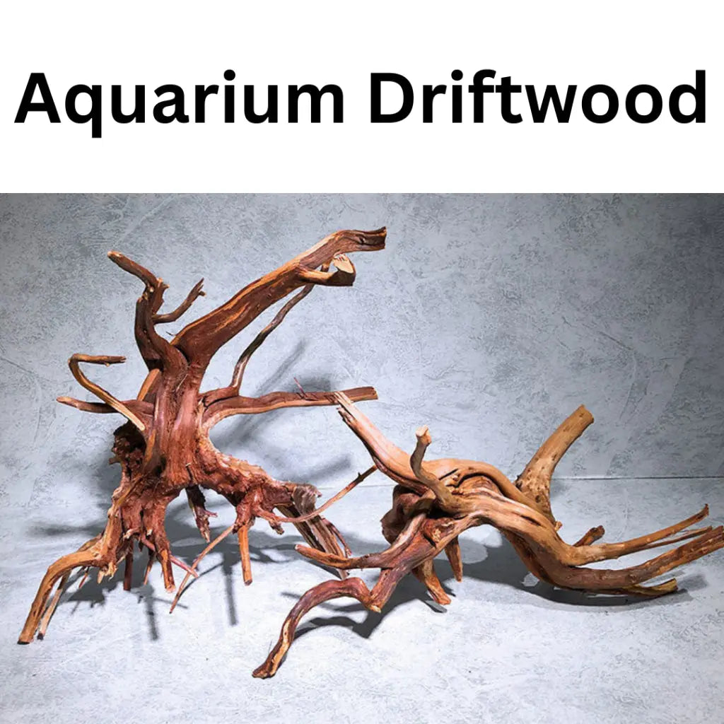 driftwood