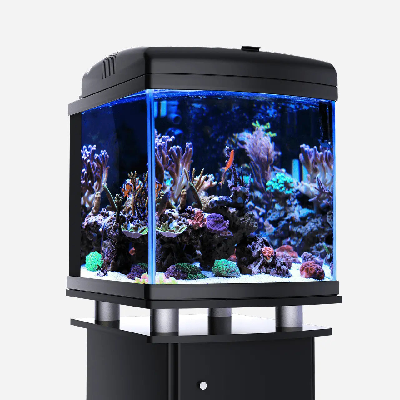 JBJ Tropical Treasures Wyo LLC