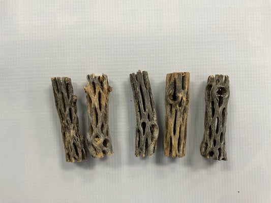 Cholla Wood 2” Tropical Treasures Wyo LLC