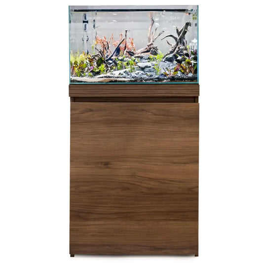 Walnut Fluval 60U cabinet with a planted aquascape aquarium set up on top