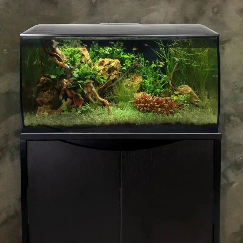 Fluval Flex 32.5 gallon planted freshwater aquarium kit with driftwood and live plants aquascape