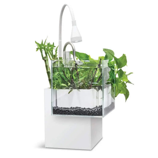 Fluval Kühl Microscaping Aquarium Kit 2.1 gallon white nano aquaponic aquarium with LED light and planting areas for shrimp, snails, and small-space planted displays at Tropical Treasures Wyo.