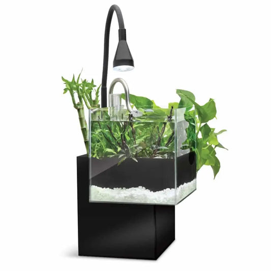 Fluval Kühl Microscaping Aquarium Kit 2.1 gallon black nano aquaponic aquarium with LED light and planting areas for shrimp, snails, and small-space planted displays at Tropical Treasures Wyo.