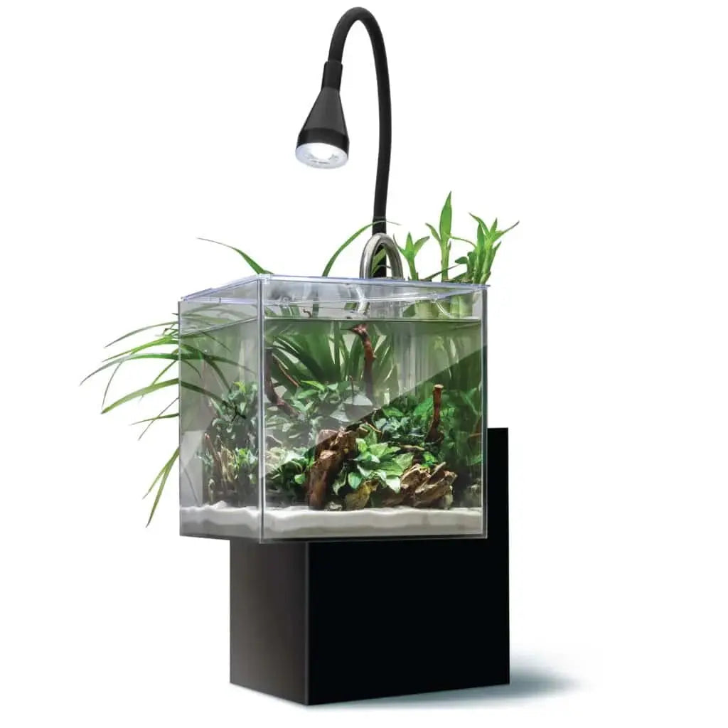 Fluval Kühl Microscaping Aquarium Kit 2.1 gallon black nano aquaponic aquarium with LED light and planting areas for shrimp, snails, and small-space planted displays at Tropical Treasures Wyo.
