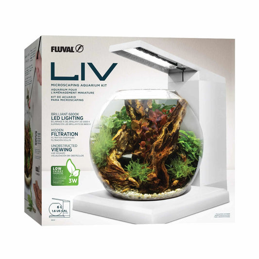 LIV Aquarium Kit 1.6 gallon white nano aquarium for betta shrimp and planted tanks