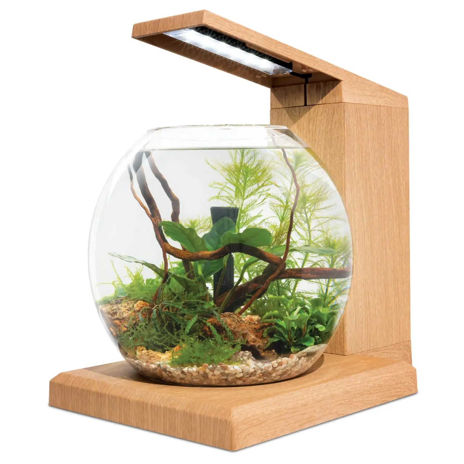 Modern nano aquarium kit teak finish