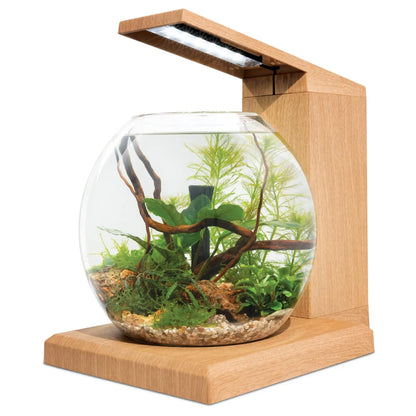 Modern nano aquarium kit teak finish