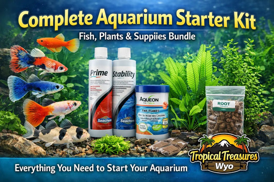 Complete aquarium starter kit with fish, plants, and supplies including guppies, tetras, and Tropical Treasures Wyo logo