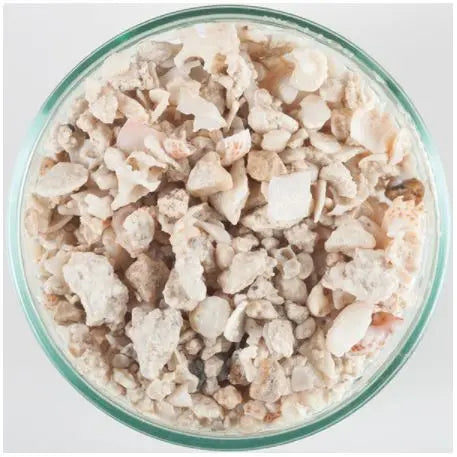Florida crushed coral 15 lb aquarium substrate