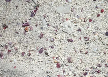 CaribSea Arag-Alive Bimini Pink Live Sand pink and white aragonite substrate for reef aquariums, marine fish tanks, corals, and saltwater systems