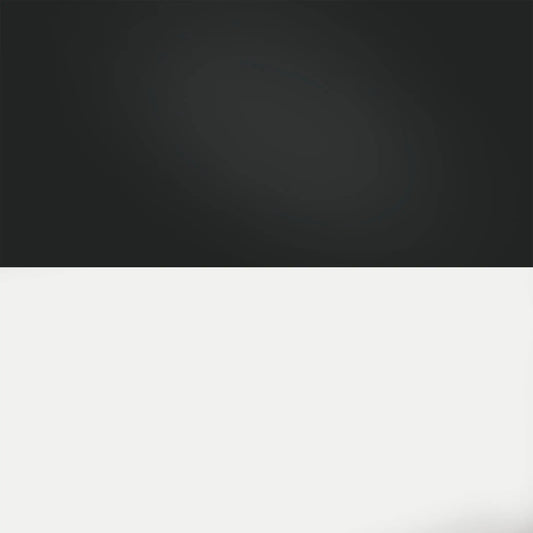 Juwel Poster 3 S Black & White – small double-sided monochrome aquarium background for nano freshwater tanks