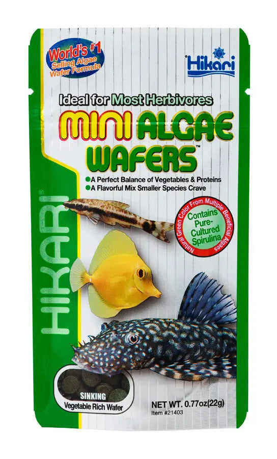 Mini algae wafers fish food for plecos shrimp snails and bottom feeding freshwater fish