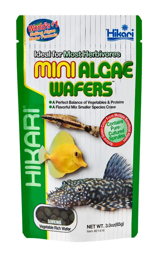 hikari mini algae wafers feeding pleco and bottom feeder fish in aquarium