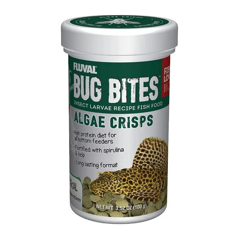 Fluval bug bites algae crisps feeding plecos and bottom feeder fish in aquarium