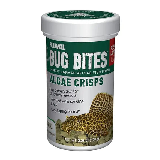 Fluval bug bites algae crisps feeding plecos and bottom feeder fish in aquarium