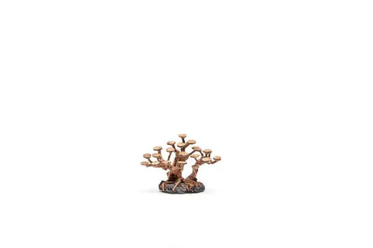 UNS Bonsai 016 AN016-S aquarium aquascaping wood